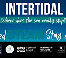 Intertidal: Exploring the tides through STEAM
