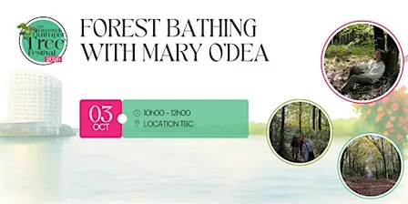 Forest Bathing with Mary O'Dea - Limerick Quimper Tree Festival