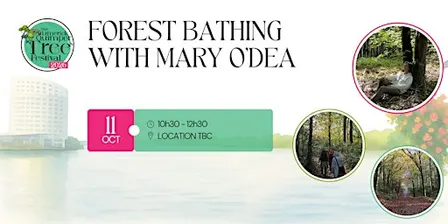 Forest Bathing with Mary O'Dea - Limerick Quimper Tree Festival