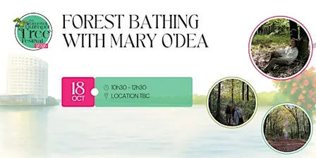 Forest Bathing with Mary O'Dea - Limerick Quimper Tree Festival