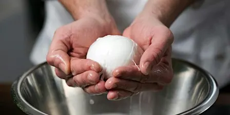 Flash Class: Mozzarella