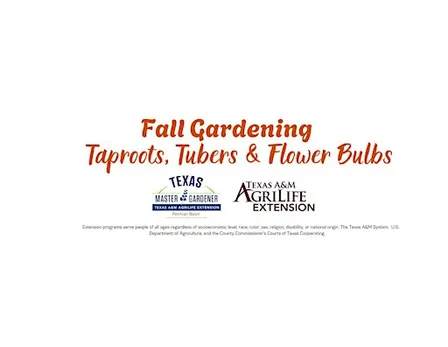 Fall Gardening: Taproots, Tubers & Flower Bulbs