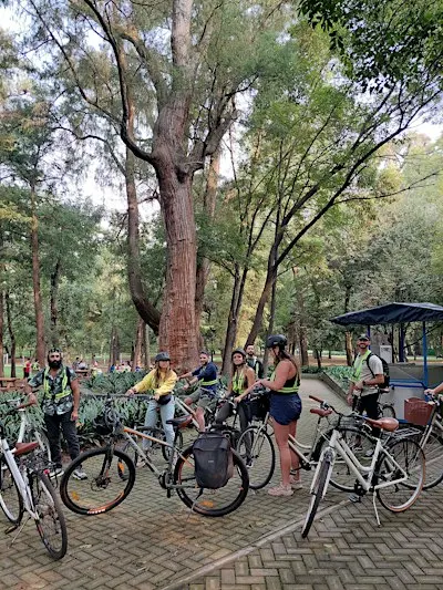 Rodada Chapultepec