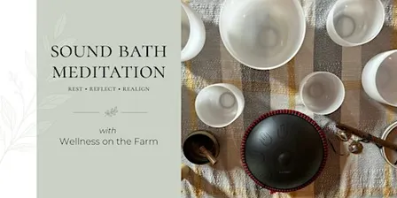 Sound Bath Meditation