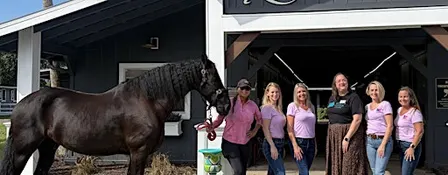 Love, Boundaries & Breathwork: Healing with Horses, Nature &  Community