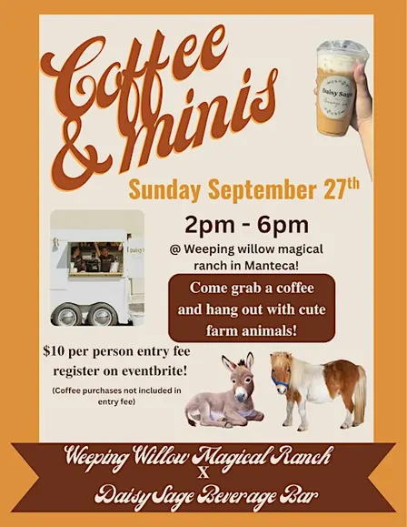 Coffee & minis!