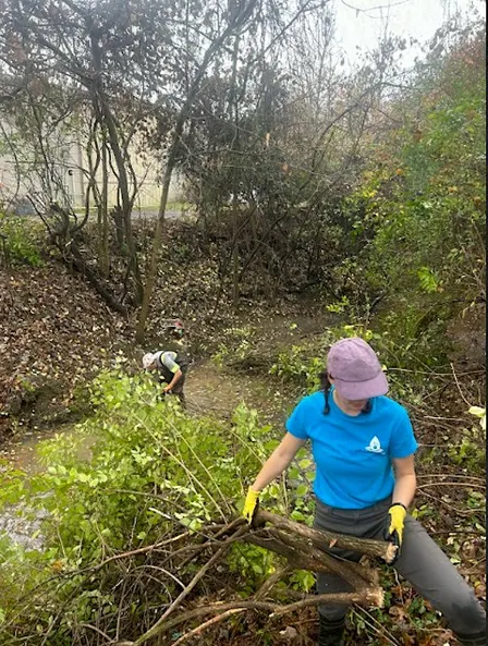 Invasive Plant Removal Workshop