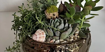 "Plant & Sip" By Heddy Salerno
