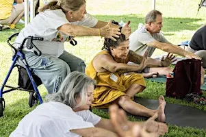 Free Tai Chi for Balance by Mind and Body Exercise | Peace Day in the Park