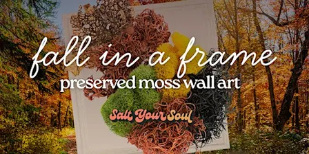 Preserved Moss Wall Art: Fall Edition