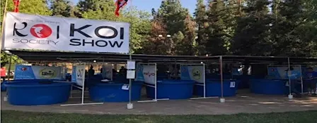 46th Annual Fresno Koi Show