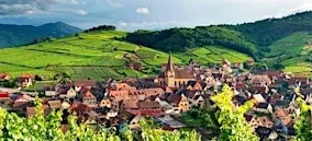 Alsace: Pinot Gris World WineTasting & Dinner
