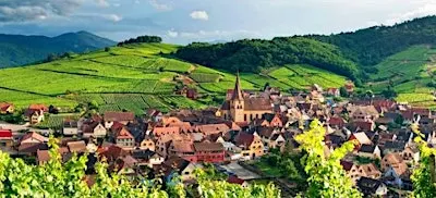Alsace: Pinot Gris World WineTasting & Dinner