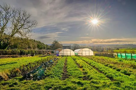 Tyninghame Harvest Lunch 2026