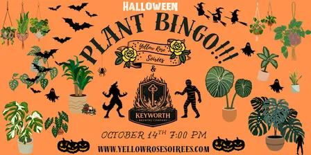 Halloween Plant Bingo at Keyworth Brewery- North Richland Hills!