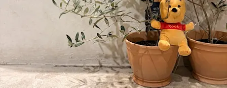 A Tea Tasting & Botanical Watercolour Evening in the Hundred Acre Wood