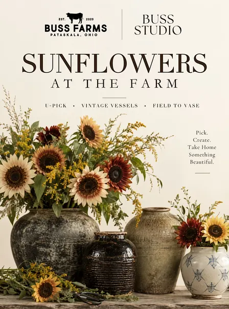 Sunflowers at Sunset - Thursday