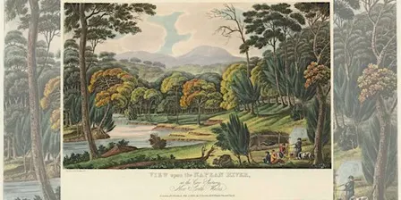Colonial wilding: Cattle, Kangaroo and Gumbakuluk