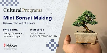 The Art of Bonsai: Crafting Miniature Trees