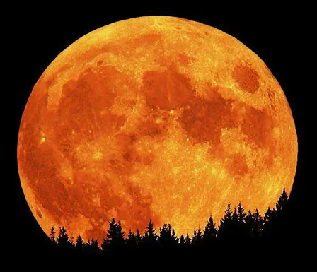 Full Moon Speed Dating: October Edition