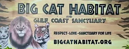 Family Adventure: Big Cat Habitat Wildlife Quest