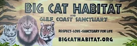 Family Adventure: Big Cat Habitat Wildlife Quest