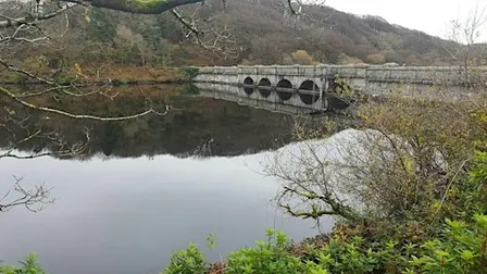 Our Land Flows... from Peat to Pipe:  Celebrating Dartmoor's water