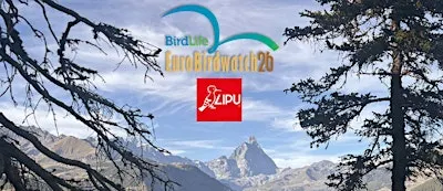 Eurobirdwatch 2026
