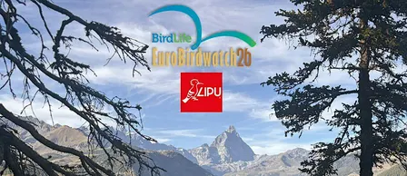Eurobirdwatch 2026