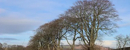 Woodland Management Training