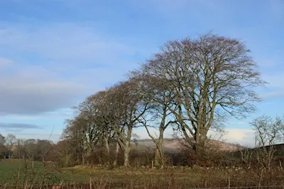 Woodland Management Training