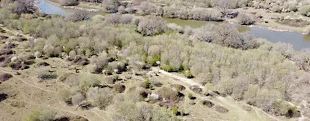SLBI Series. Urban rewilding: pasts and possible futures.