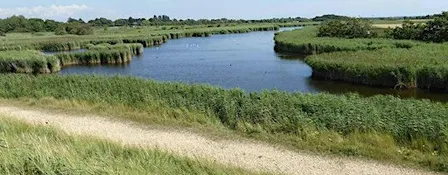 Free Thorney Island Nature Walk & Sound Recording