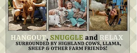 Cowabunga Hangout | Hodges Hidden Highlands Farm | Florida
