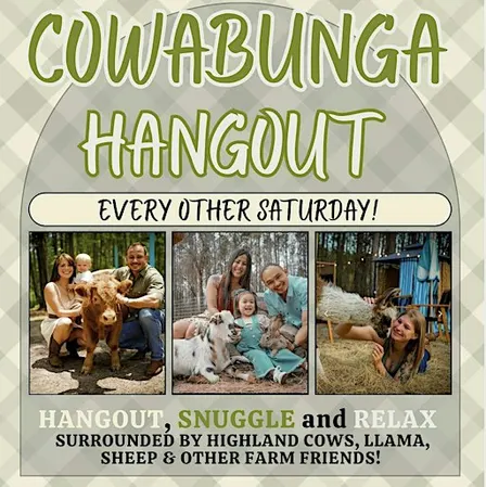 Cowabunga Hangout | Hodges Hidden Highlands Farm | Florida