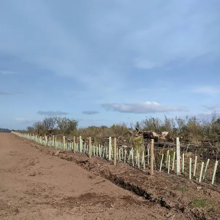 Hedgerow Management Training