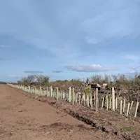 Hedgerow Management Training