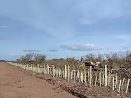 Hedgerow Management Training