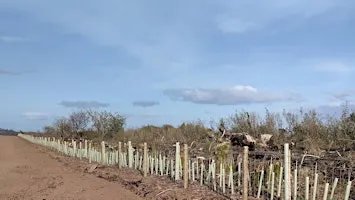 Hedgerow Management Training