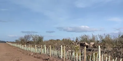 Hedgerow Management Training