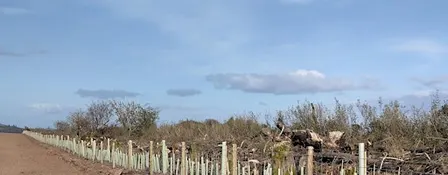 Hedgerow Management Training