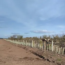Hedgerow Management Training