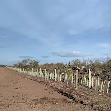 Hedgerow Management Training