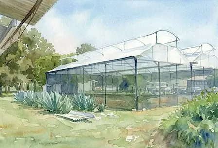 SECADO SOLAR DE ALIMENTOS: ESTRATEGIA PARA LA SUSTENTABILIDAD