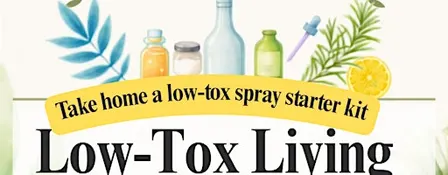 Low-Tox Living Workshop