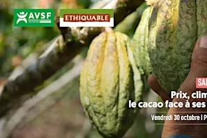 Salon du Chocolat : quel avenir pour la filière cacao ?