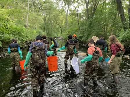 Community Fish Sampling and Identification