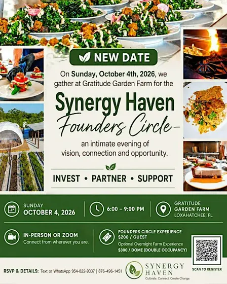 Synergy Haven's Founding Circle