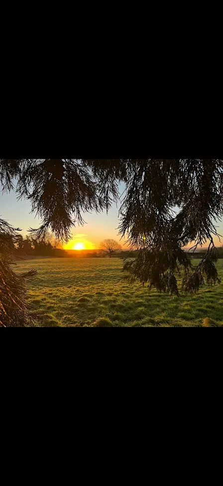 Walking into Winter: A seasonal nature connection and foraging walk