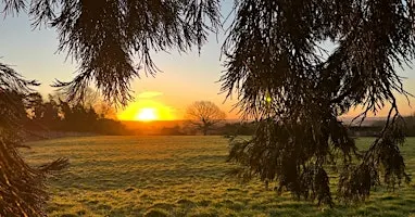 Walking into Winter: A seasonal nature connection and foraging walk